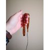 Pressed Amber Islamic Rosary Misbaha Gift for Muslim Worship
