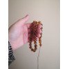 Baltic Amber Islamic Rosary Spiritual Beads